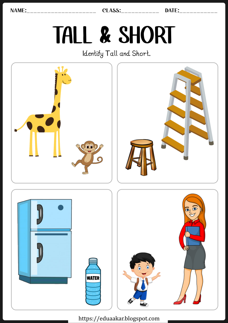 Tall and Short worksheets for kids | Pre-Math Concept