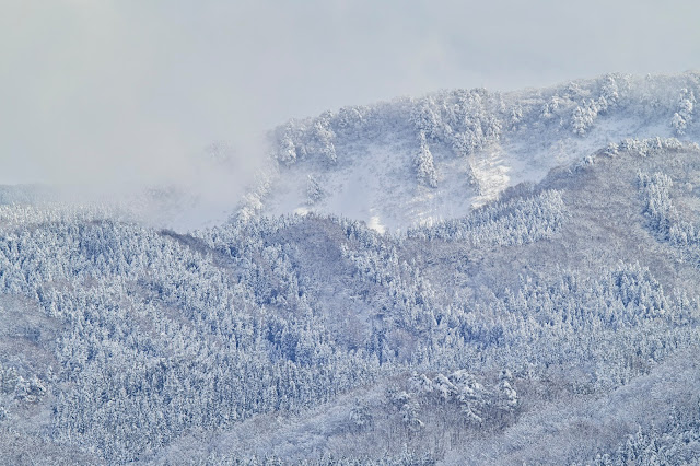 #photo #landscape #sigma #foveon #sdquattroh #japan #yamagata #tsuruoka #写真 #風景写真 #山形帝國 #山形県 #鶴岡市