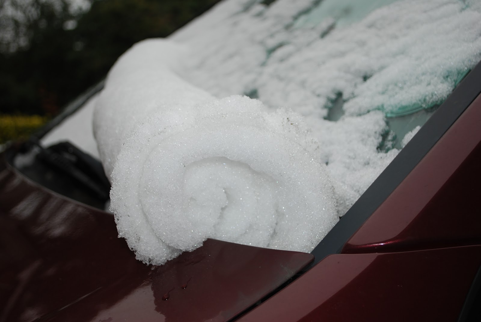 Contemplating Change snow roll