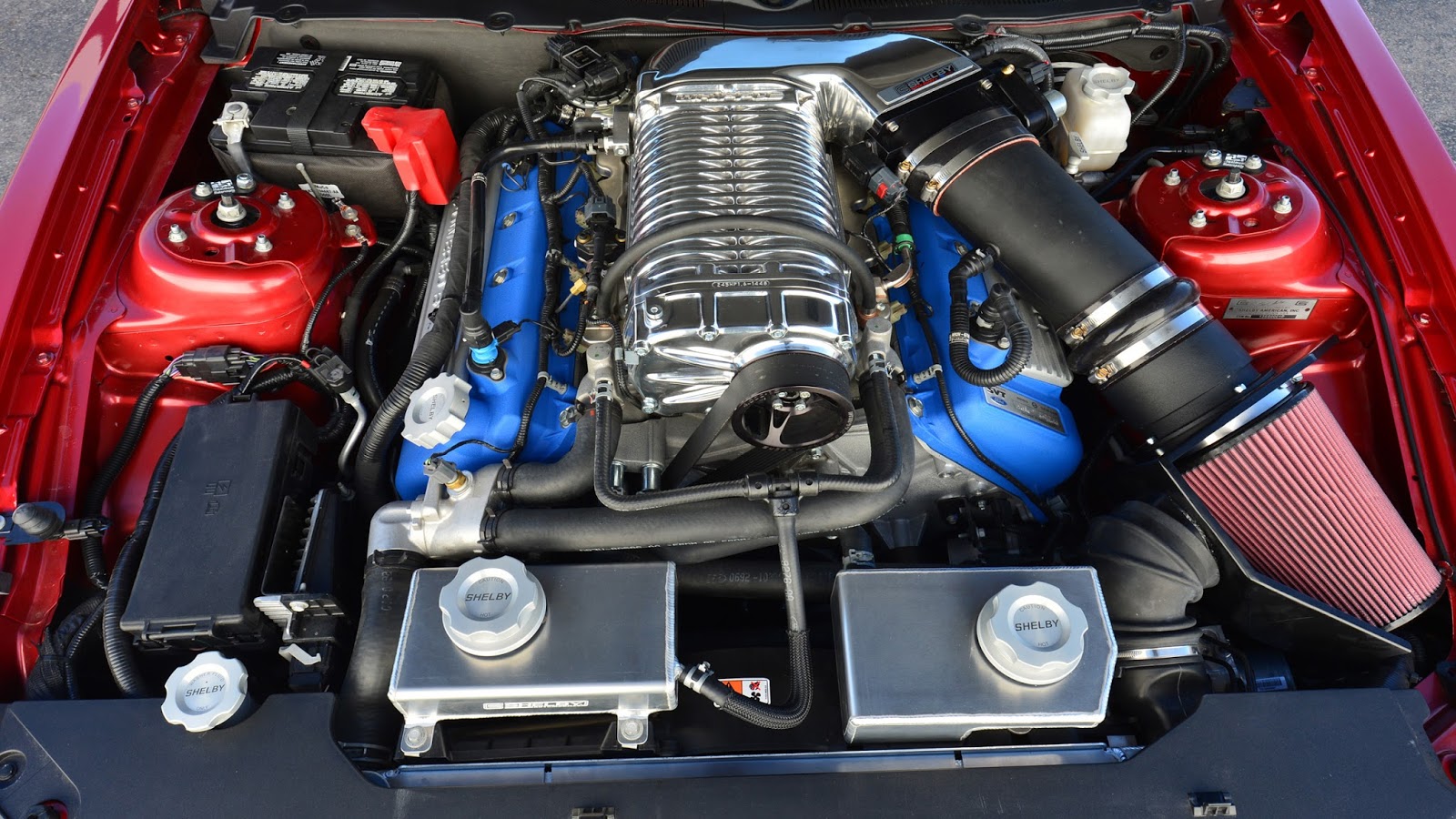 du er stressende synd CARWP: 2014 Shelby Ford Mustang GT500 Super Snake 850 hp