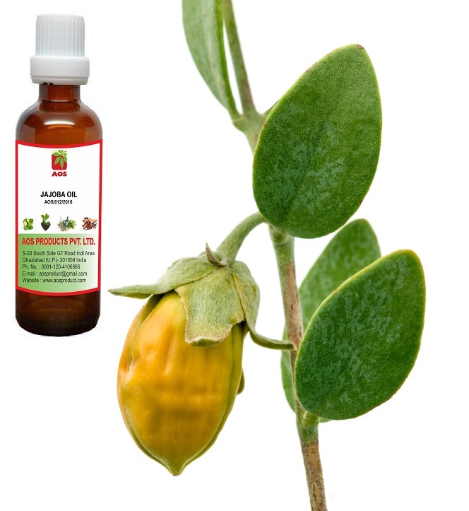 Essential Oils, Menthol and Mint Oils Manufacturer AOS Products