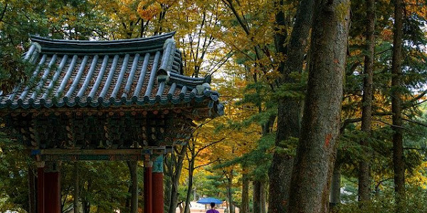 Itinerary 11 Hari 10 Malam Liburan Ke Korea Selatan Yang Seru Abis 2021 (Budget + Rekomendasi Hotel)