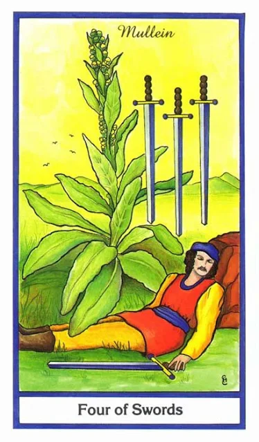 4 of Swords - Herbal Tarot