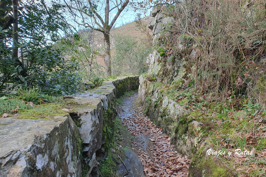 Camino a Cascada Ulloa, Oneta