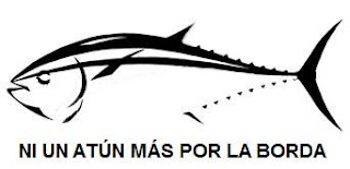 atun  - Un hombre un anzuelo en la pesca de atún rojo en el Mediterráneo