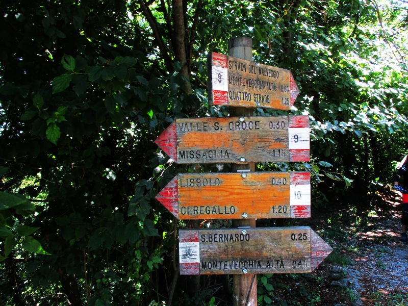 Nel Parco Di Montevecchia In Mtb