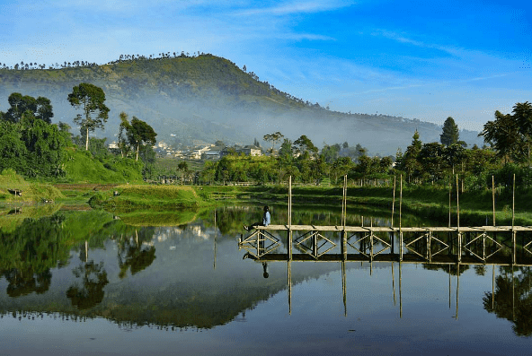 Farmhouse Susu Lembang