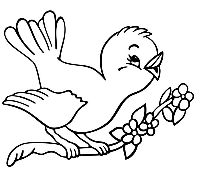 550 Contoh Kolase Burung Merak Gratis Kumpulan Gambar Kolase