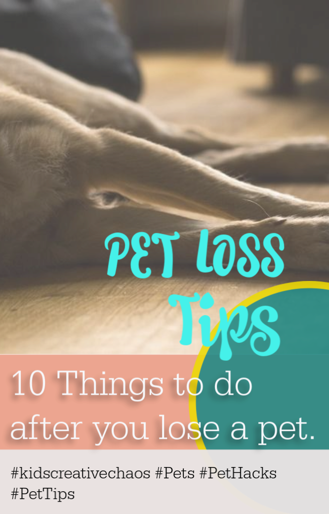 Dealing with Death of a Pet Adventures of Kids Creative Chaos