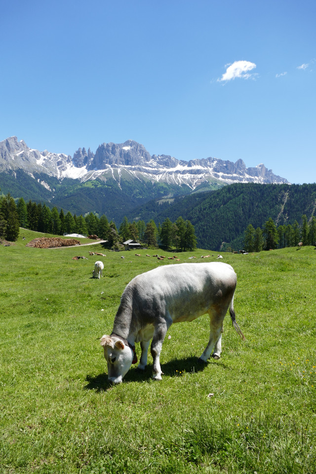 Laghetto Wuhnleger da bagni di lavina bianca