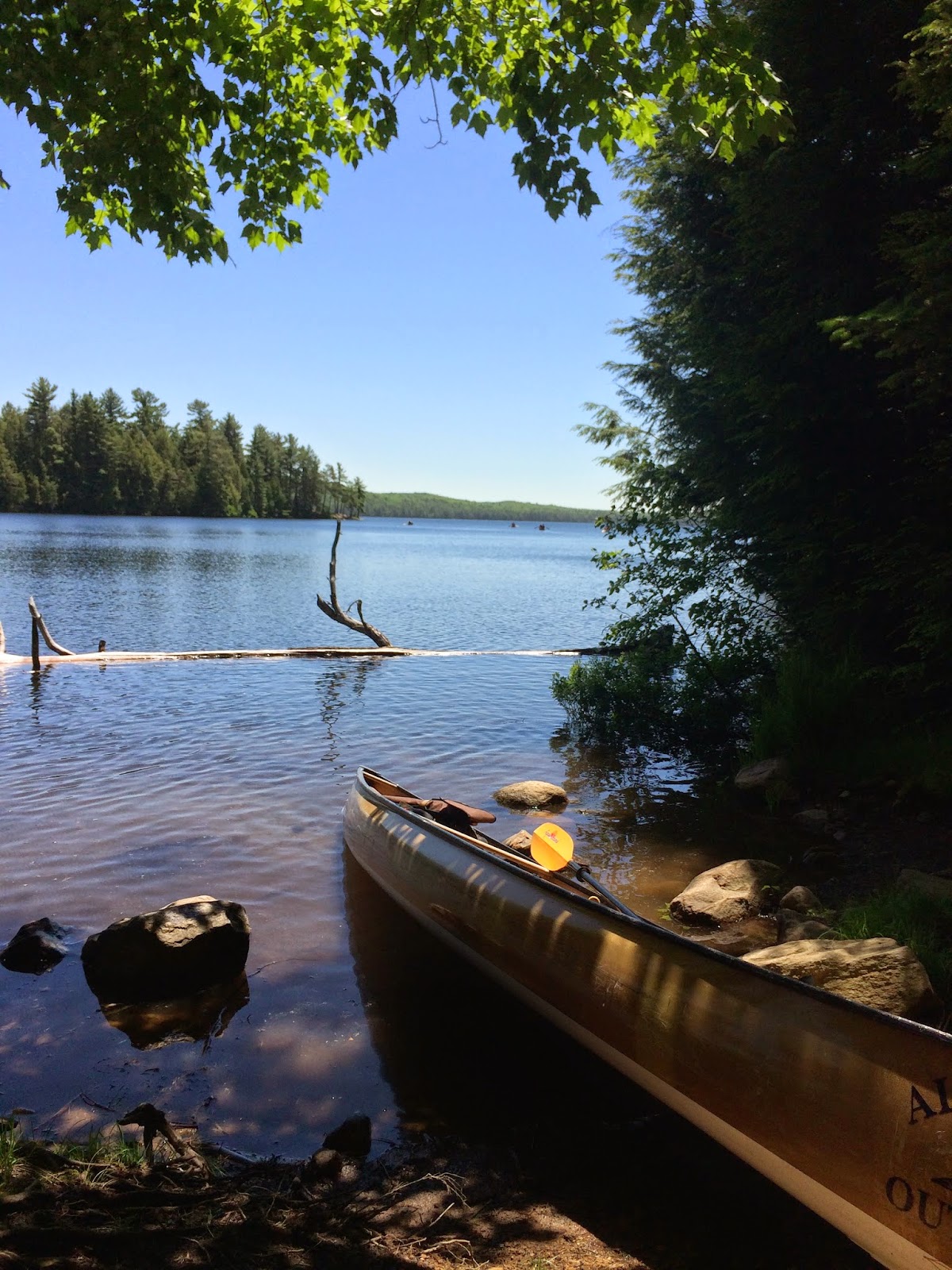 into the wild with jimmy Canoe Trip Algonquin Provincial Park, Canada