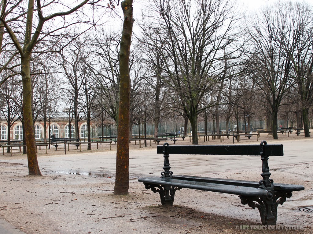 Fond d'écran #4 de FÉVRIER 2014, avec et sans le calendrier du mois - Jardin du Luxembourg (photo janv. 2014)