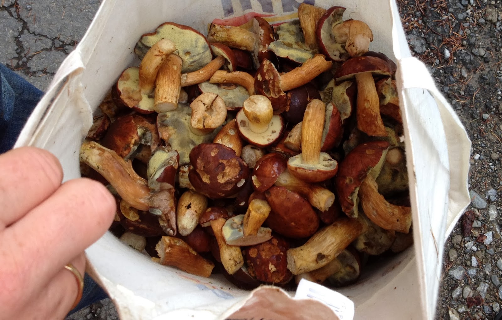 Größenwahn Oktober 2013