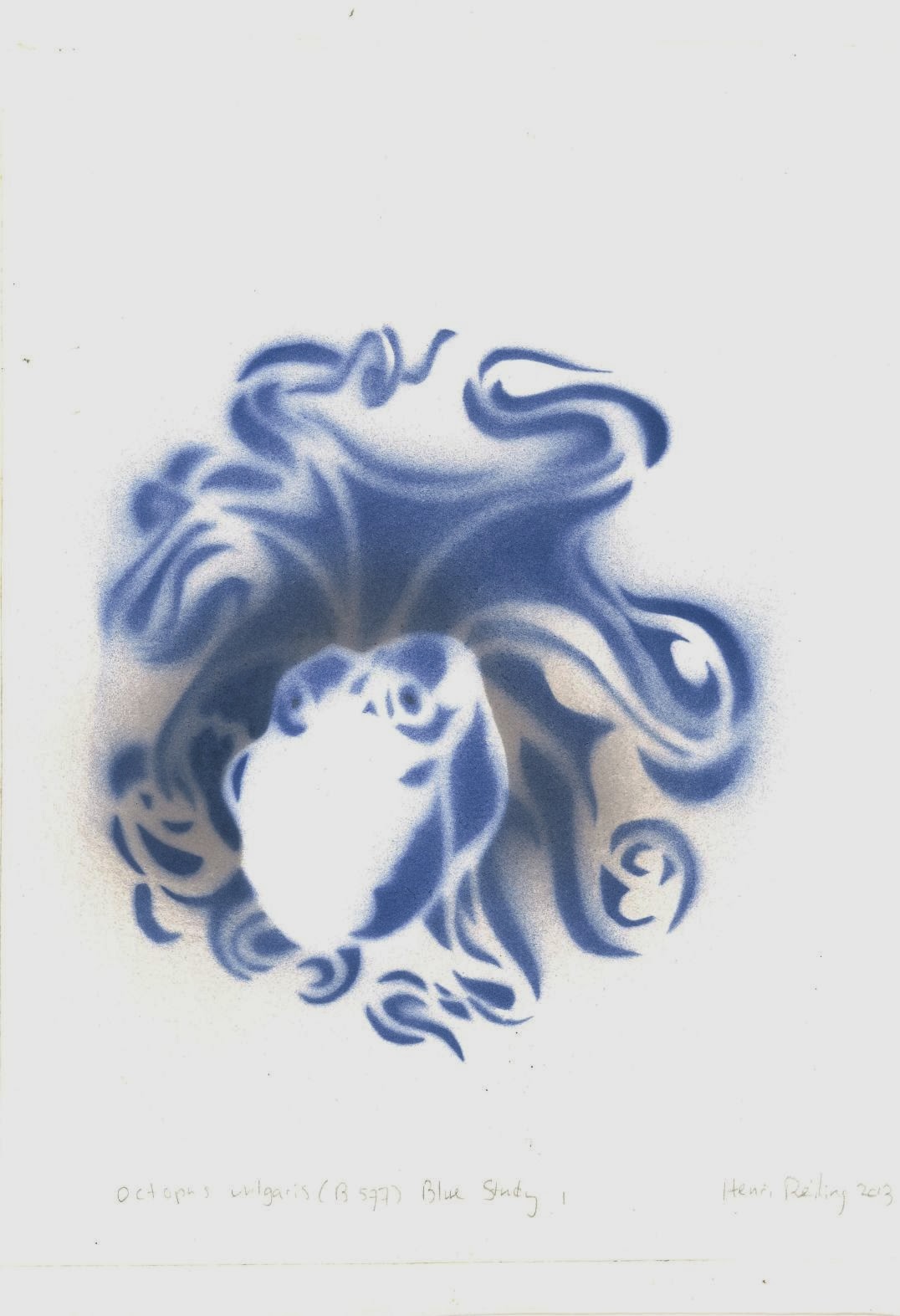 Signs of Activity Stencil/Spraypaint Octopus vulgaris I