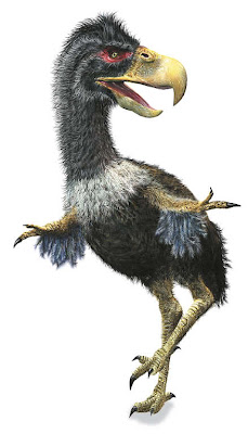 aves prehistoricas de america Titanis