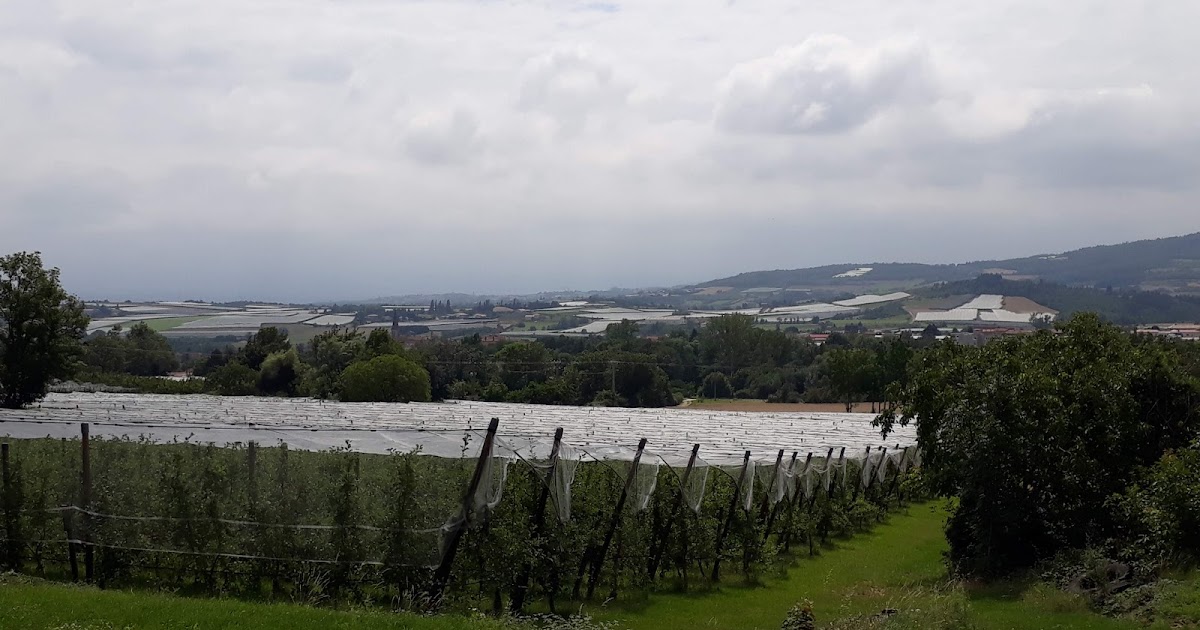 Camino 2021 Van Genève tot D11 stJulienmolin Camino 2021 Van Genève tot D11 stJulienmolin