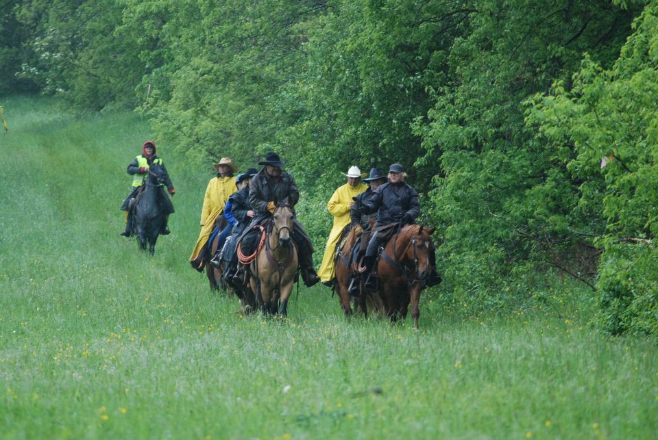 Foundation Reining Training Centre: Putting Trail Class Back Into Trail ...
