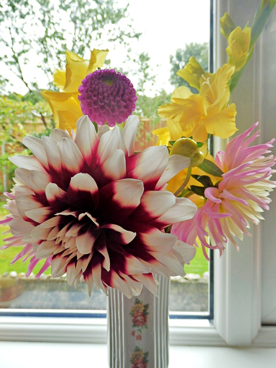 Mike's Cornwall 10 Photos of August Flowers and Colour In Our Garden