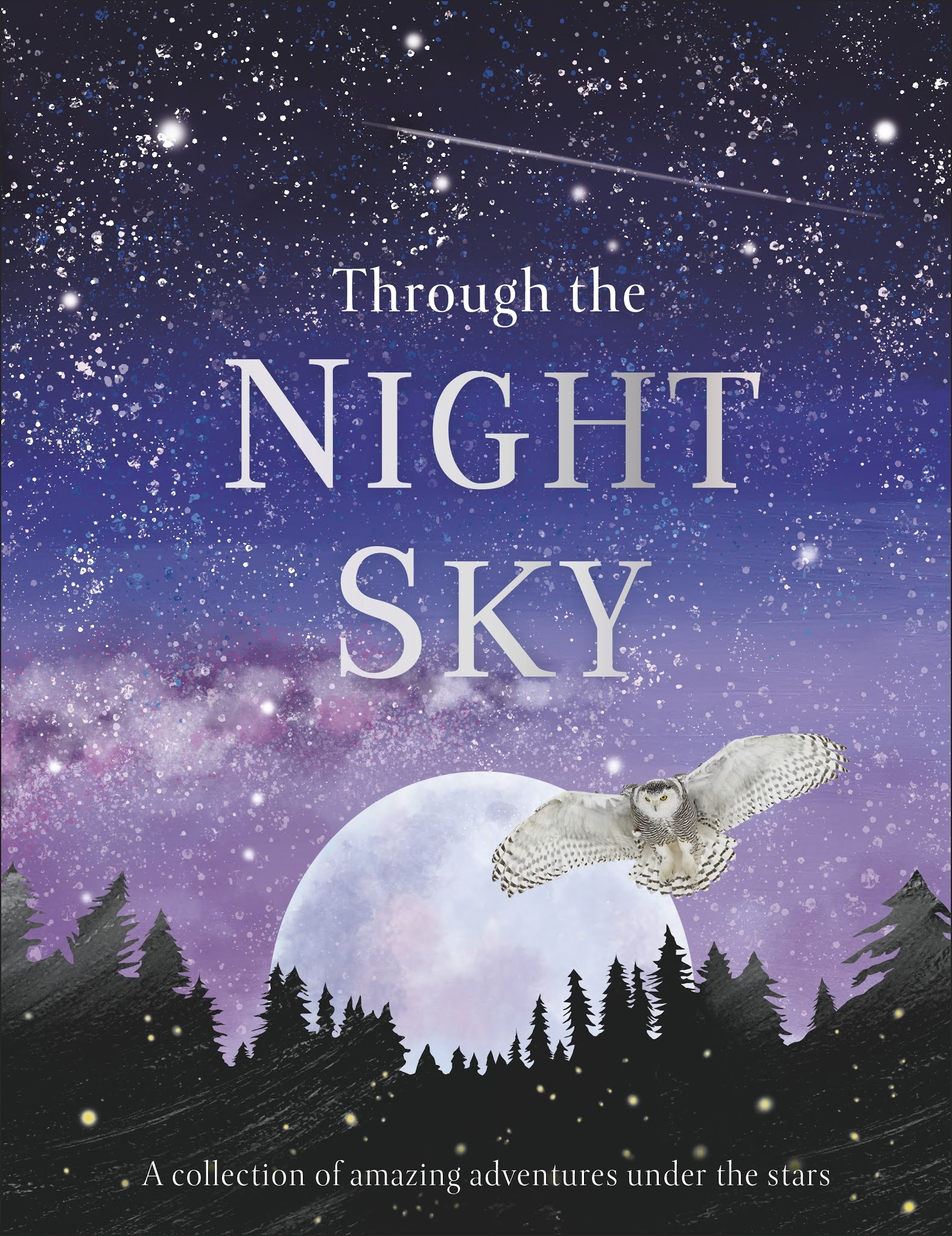 Kids' Book Review Review Through the Night Sky