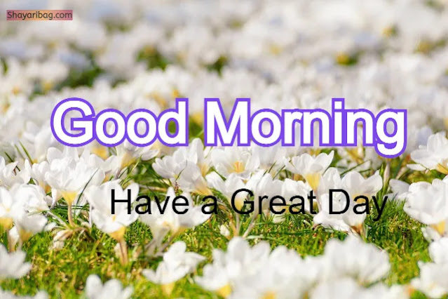 Good Morning Flowers Good Morning Flowers