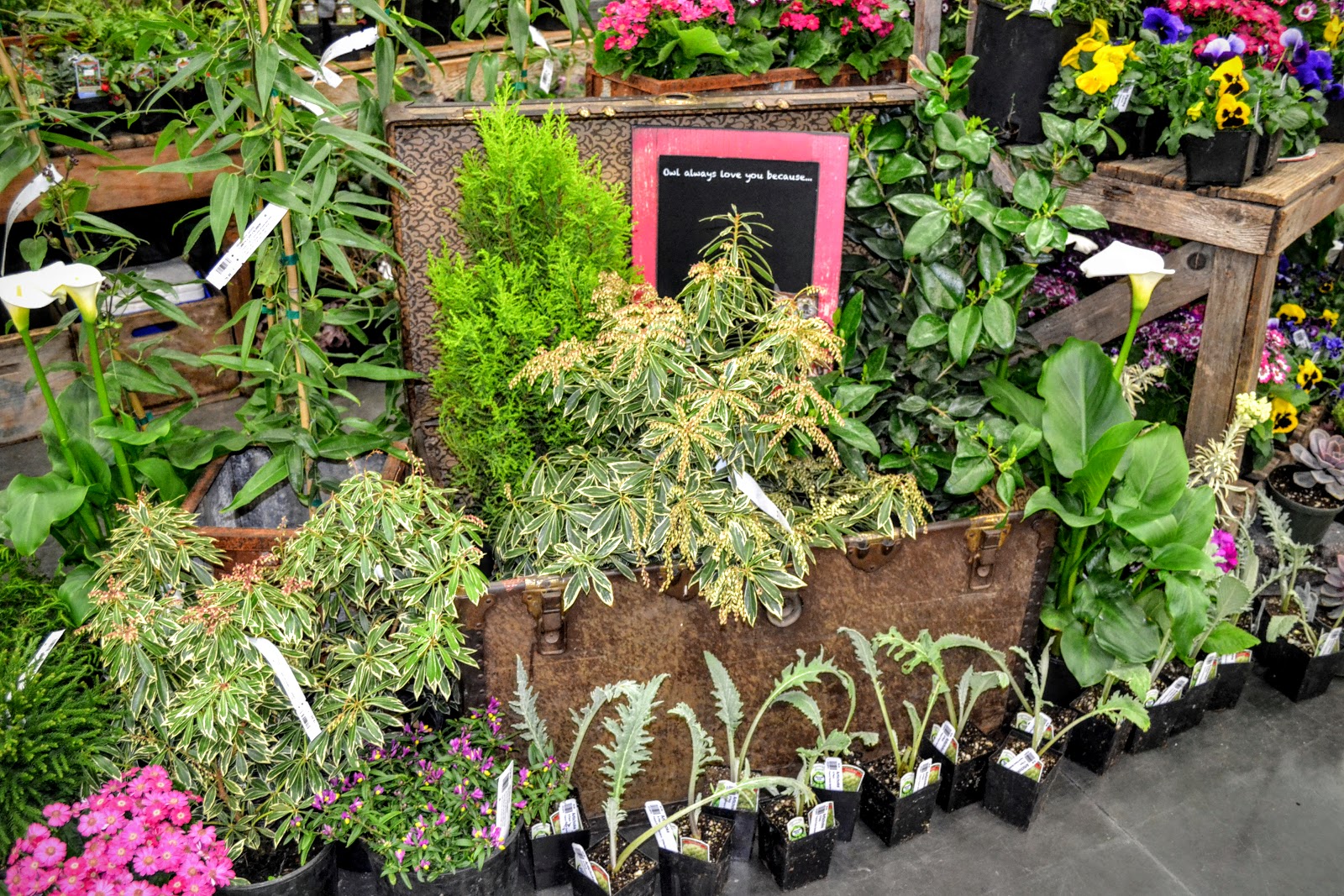 The Outlaw Gardener Portland Yard, Garden, and Patio Show Part 2 The