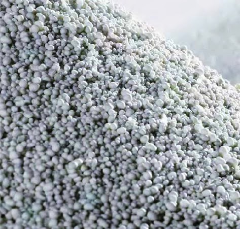 Glass for Lightweight Aggregate Concrete