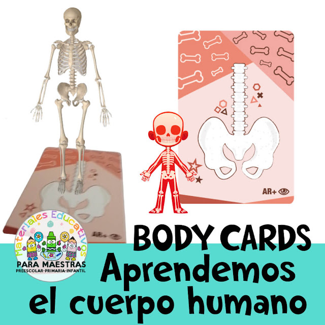 body-cards-tarjetas-aprender-cuerpo-humano