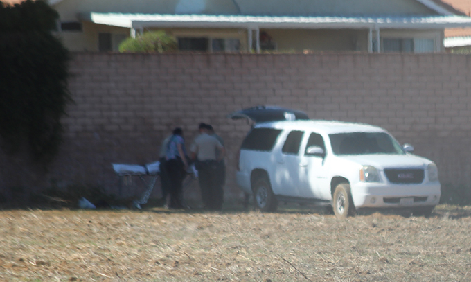 Body Of Adult Male Discovered In Field Near Murrieta Road