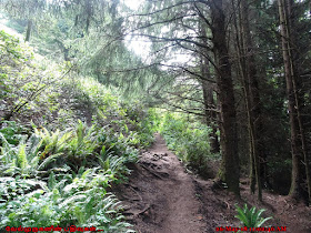 Necarney Creek Trail Oregon