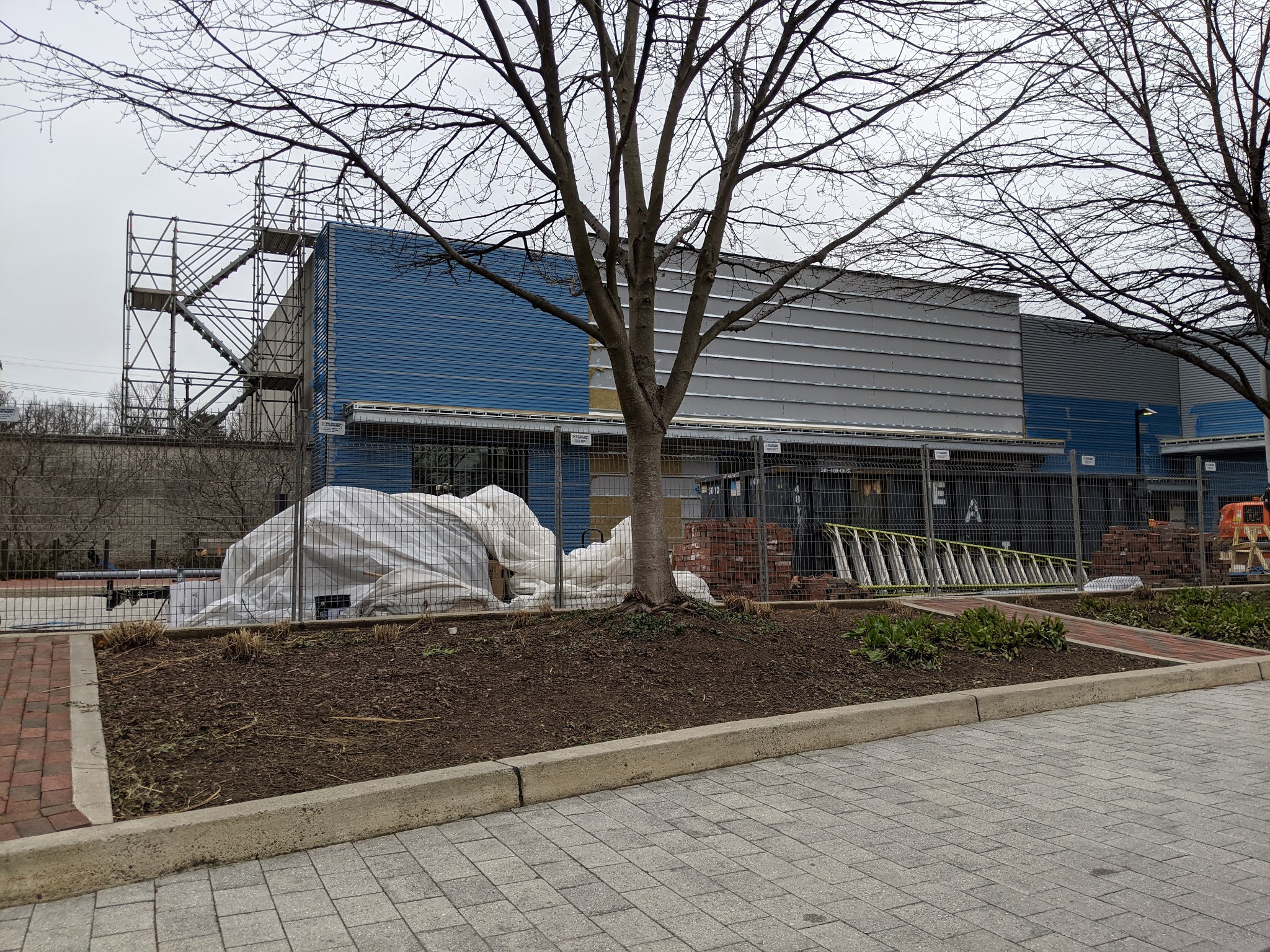 Robert Dyer Bethesda Row Mystery Chevy Chase grocery store taking on