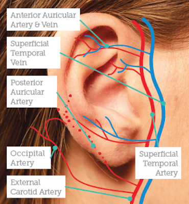 https://aestheticsjournal.com/feature/remodelling-the-earlobe