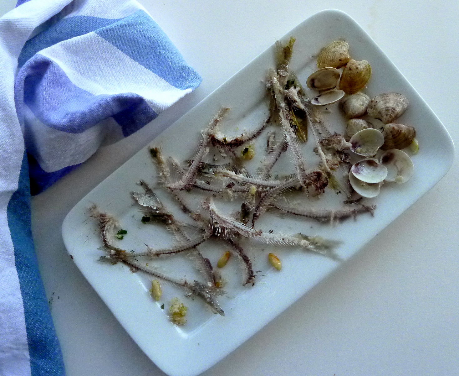 MY KITCHEN IN SPAIN EAT SARDINES SAVE THE PLANET my-kitchen-in-spain-eat-sardines-save-the-planet