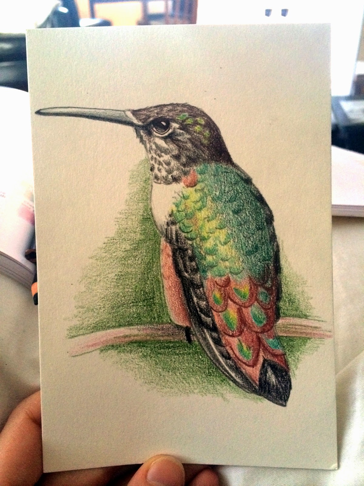 Insert witty blog title here. Michelle? Help? Drawing birds with