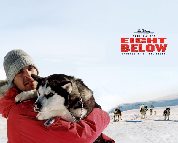 Eight Below Saat Siberian Huskey Menampar Nurani Kita