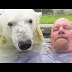 Μπάνιο με... πολική αρκούδα;