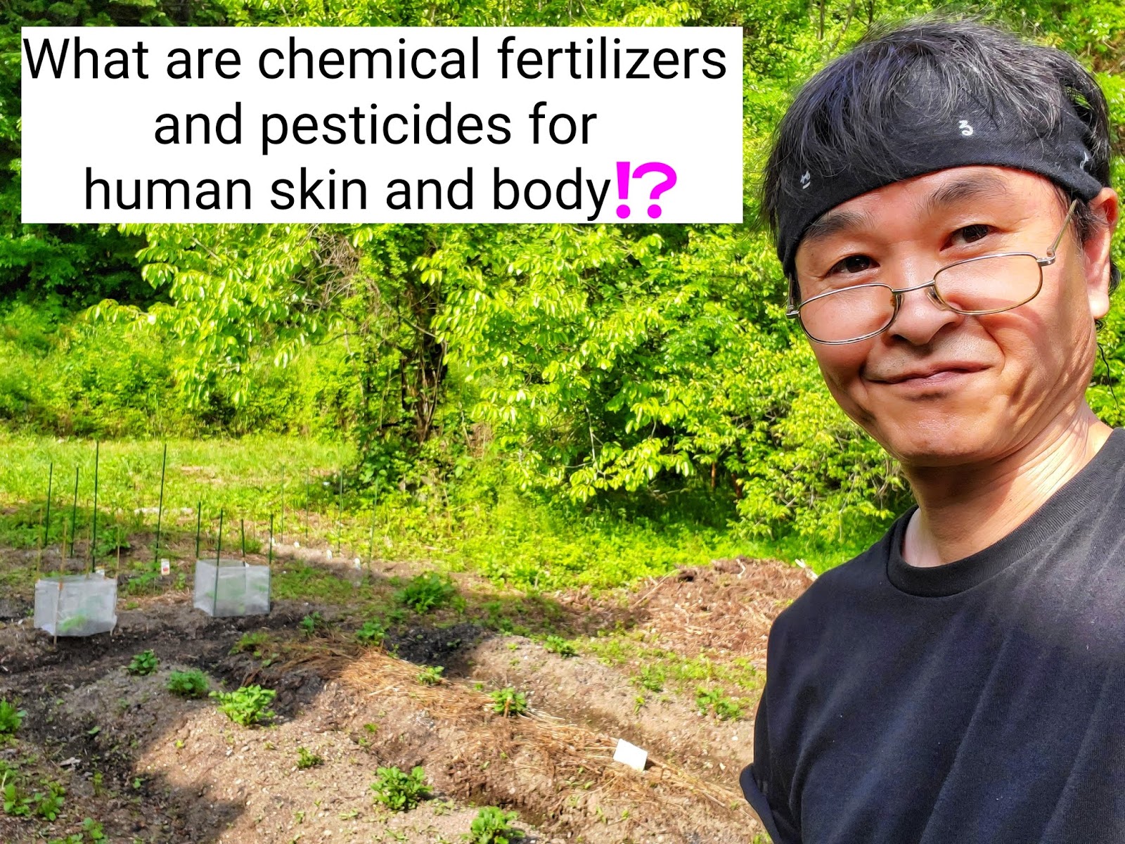 What are chemical fertilizers and pesticides for human skin and body?
