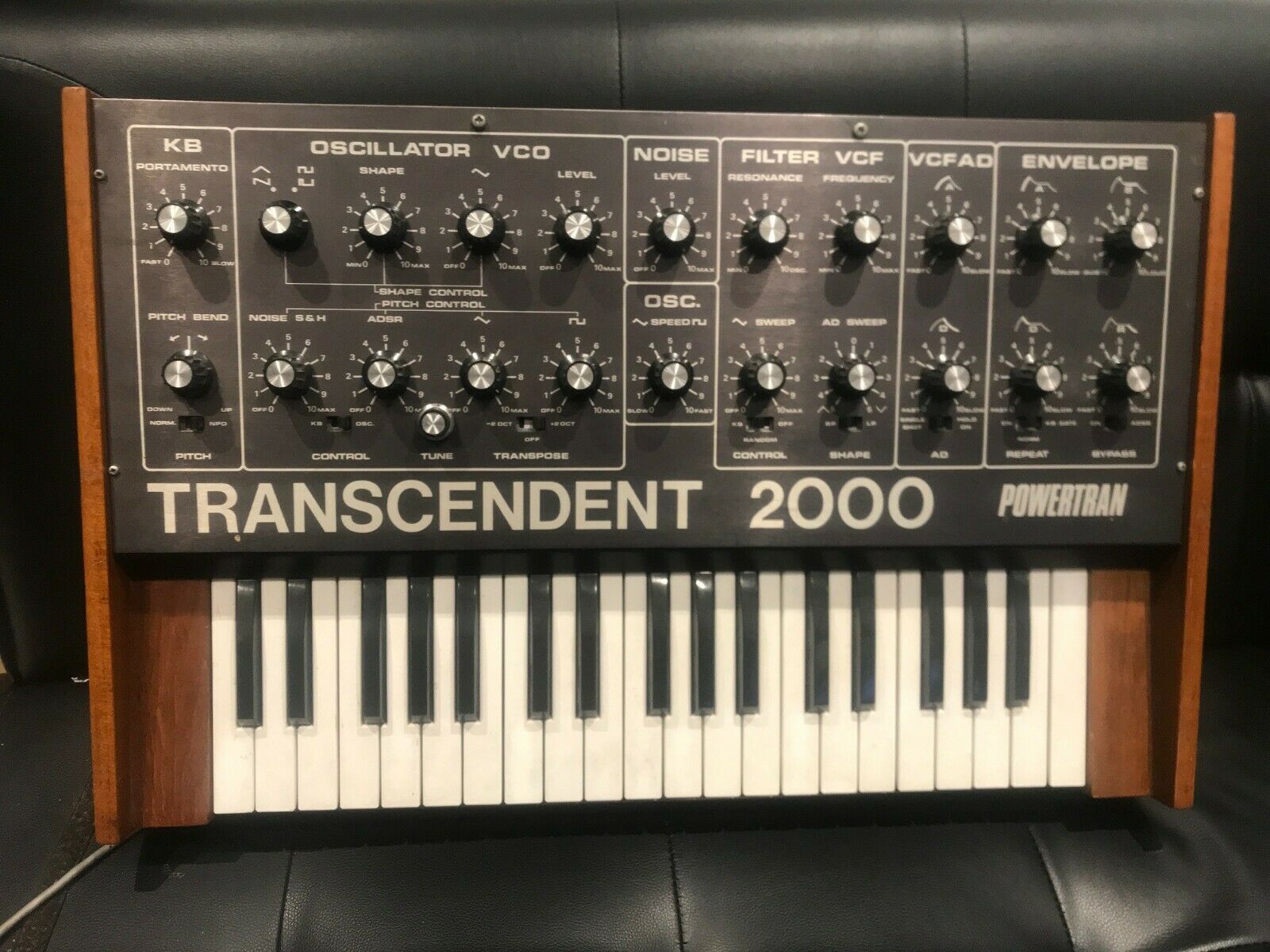 MATRIXSYNTH TRANSCENDENT 2000 ANALOG SYNTH by TIM ORR of EMS