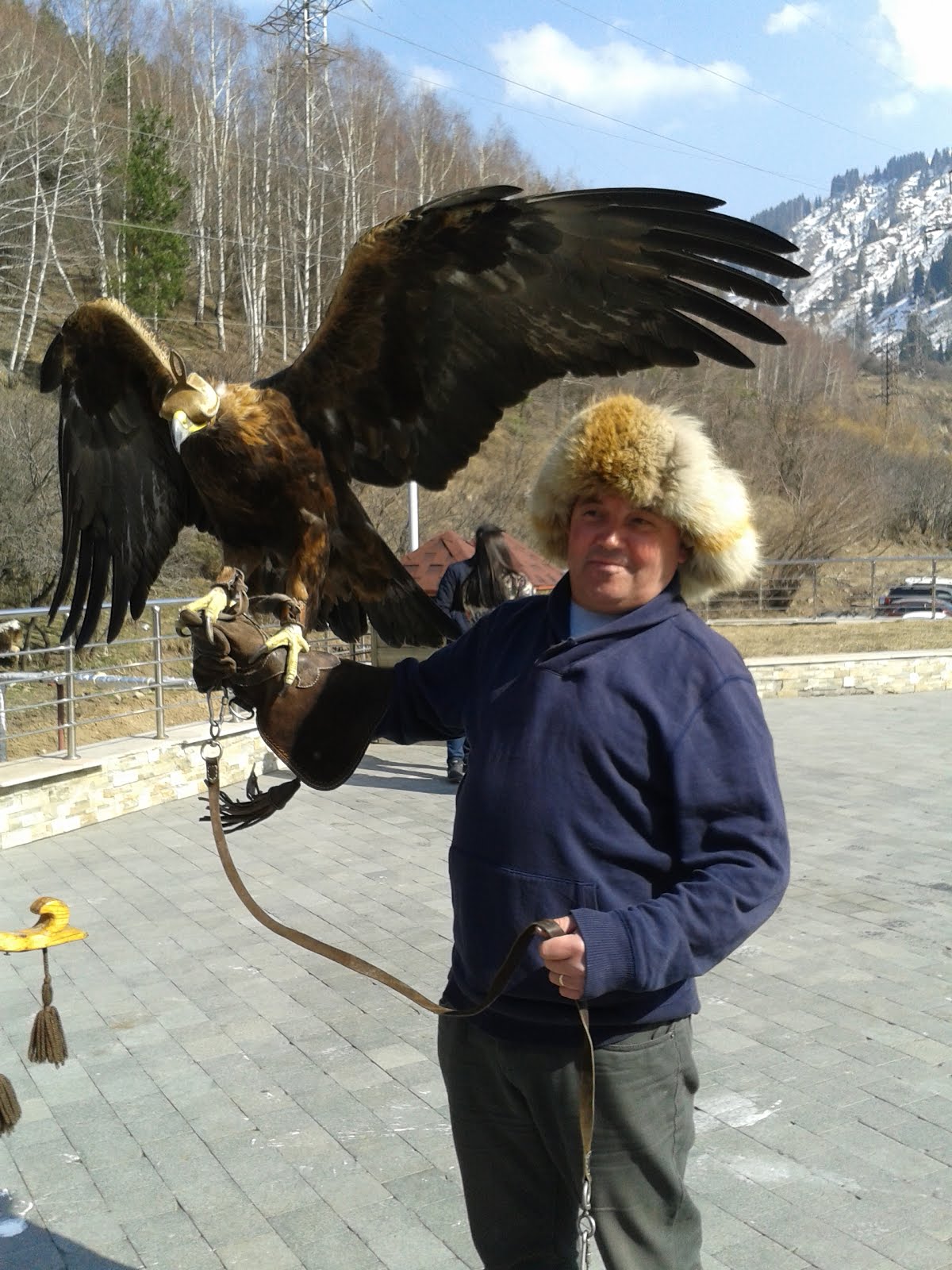 Hunting with Eagles in Spring 2015