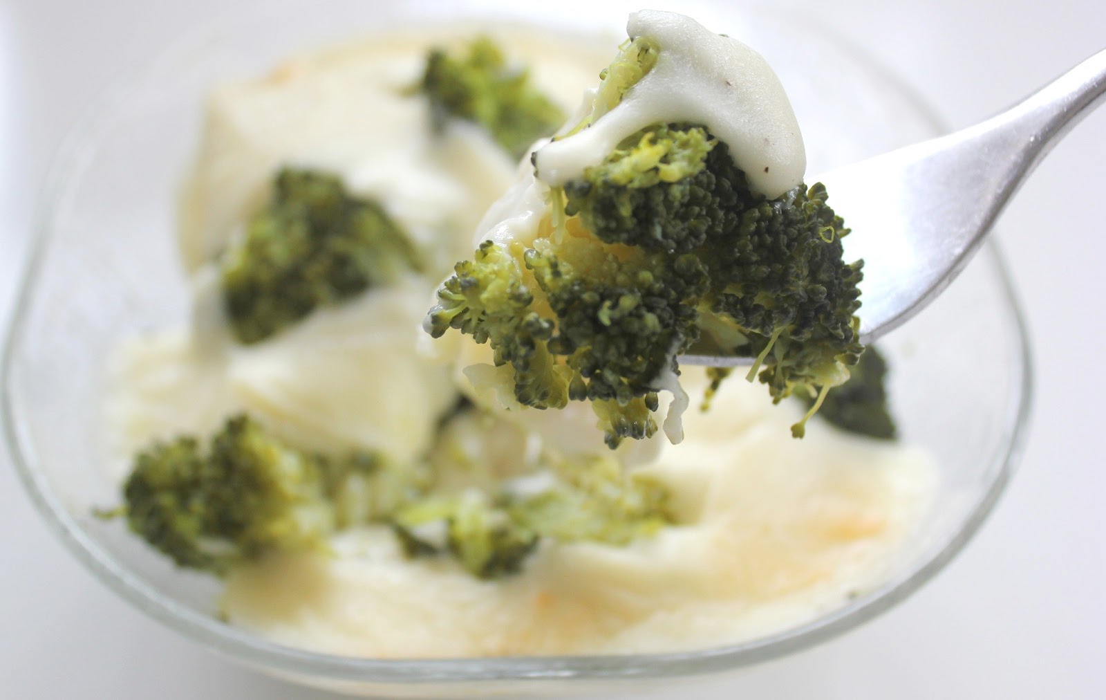 Brócoli gratinado con bechamel y queso tierno - Cocinando con las Chachas