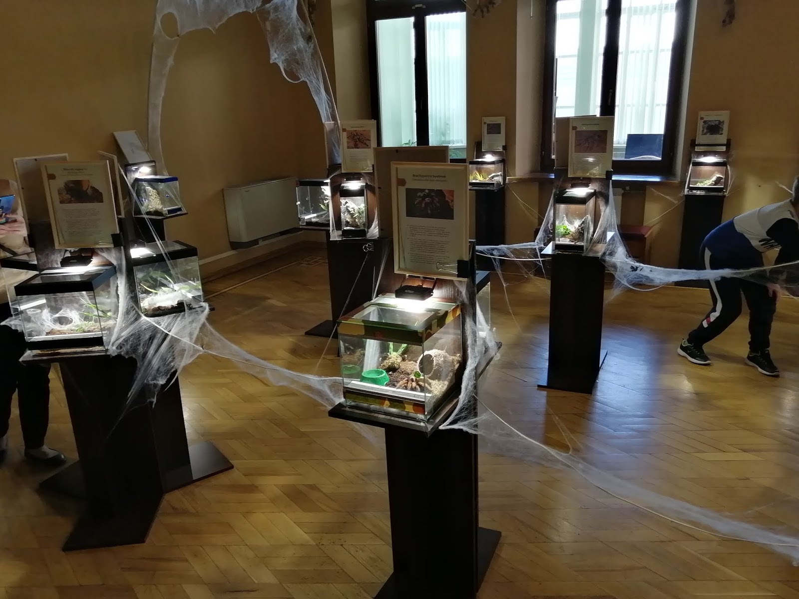 Музей алейск