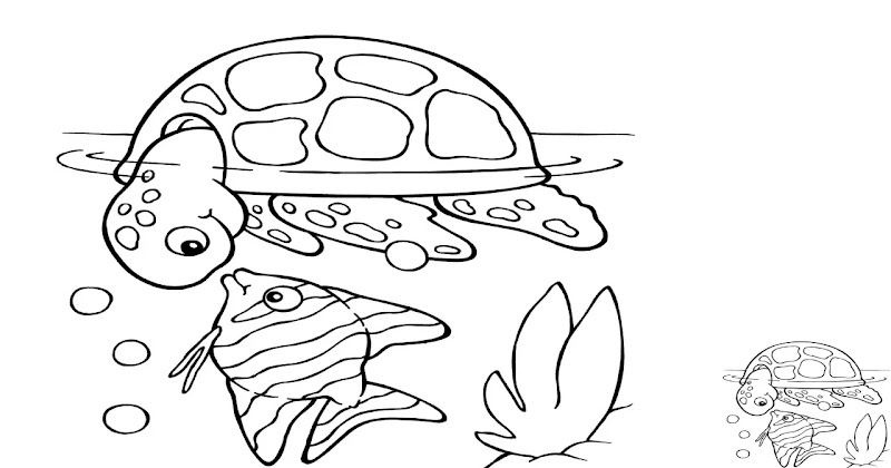 Coloring Page Of A Turtle And A Fish