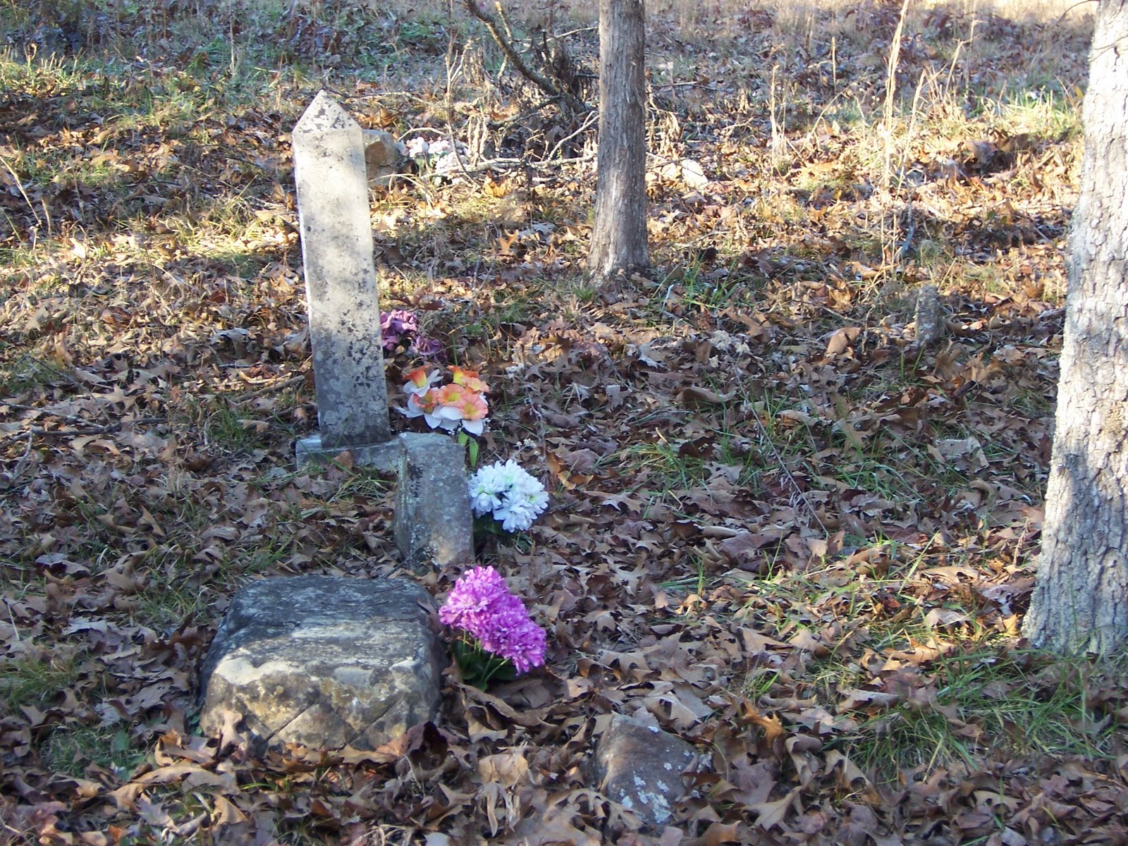 Cemeteries of Baxter County, AR Sale Family Cemetery is the resting