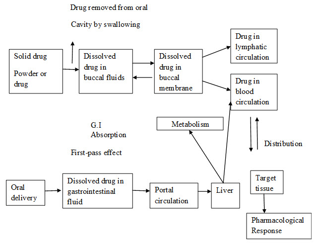 Comparative drug absorption between oral and buccal route