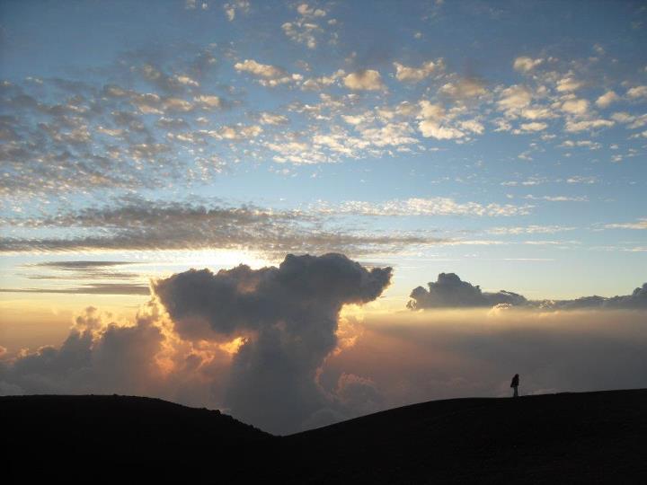 Donde el viento me llev\u00f3: \u300c\u7802\u5d50\u306e\u4eba\u300d