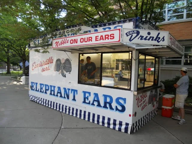 Elephant ears at the Ann Arbor Summer Arts Festivals in Downtown Ann Arbor