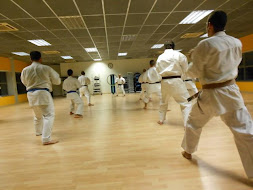 sala karate - kihon kumité