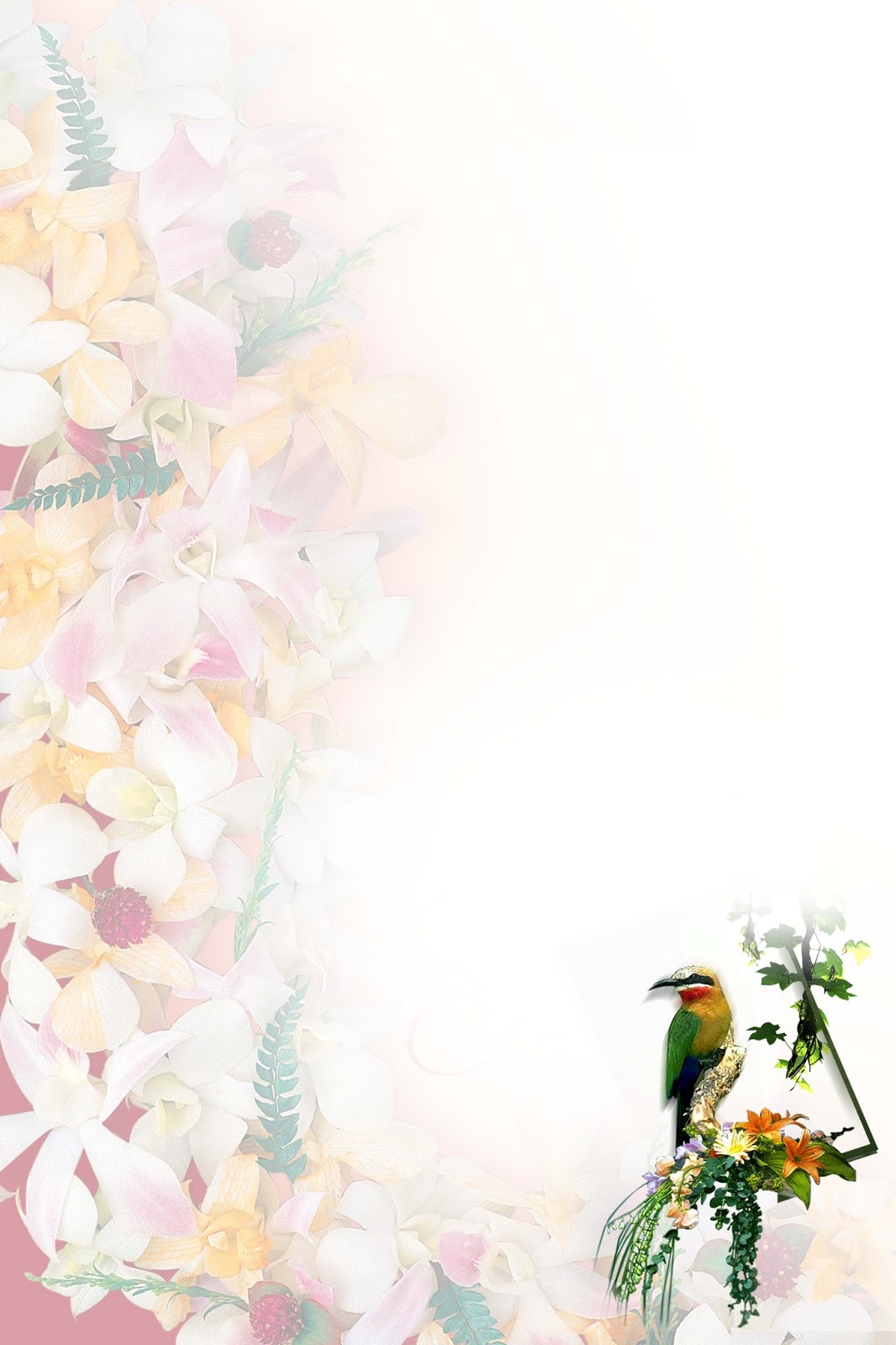 studio background hd images for photoshop download luckystudio4u phd background photoshop