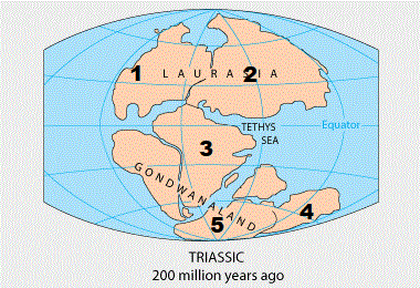Penilaian Akhir Semester Geografi Kelas 10 Perkembangan Muka Bumi Guru Geografi