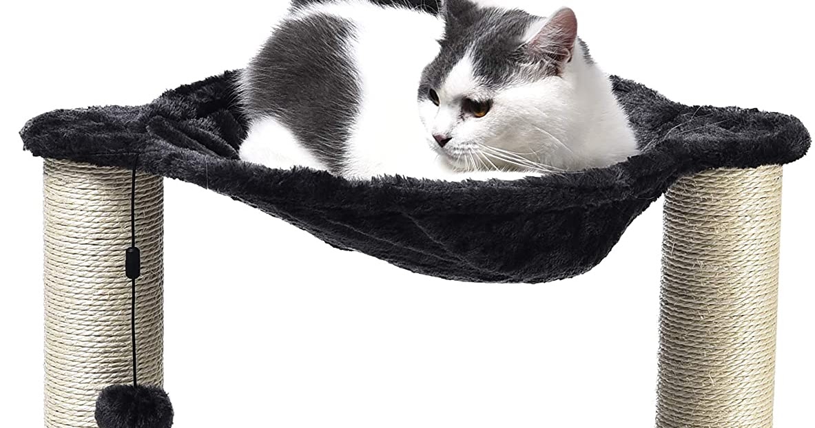 Cat Scratching Post and Hammock