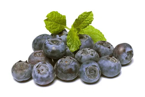Fruits Name in Hindi & English फलों के हिन्दी इंग्लिश Fruits Name in Hindi & English फलों के हिन्दी इंग्लिश
